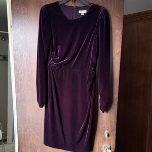 Calvin Klein Women's Long Sleeve Velvet Dress in Deep Purple